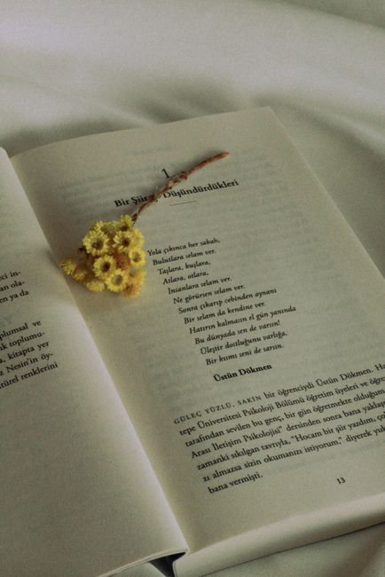 An open book with a yellow flower bouquet on the pages.