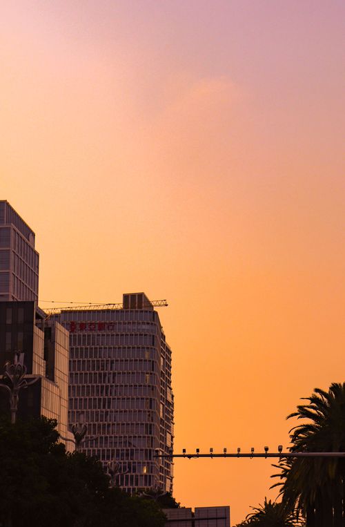 Free City skyline with modern skyscrapers silhouetted against a vibrant orange sunset, featuring palm trees. Stock Photo