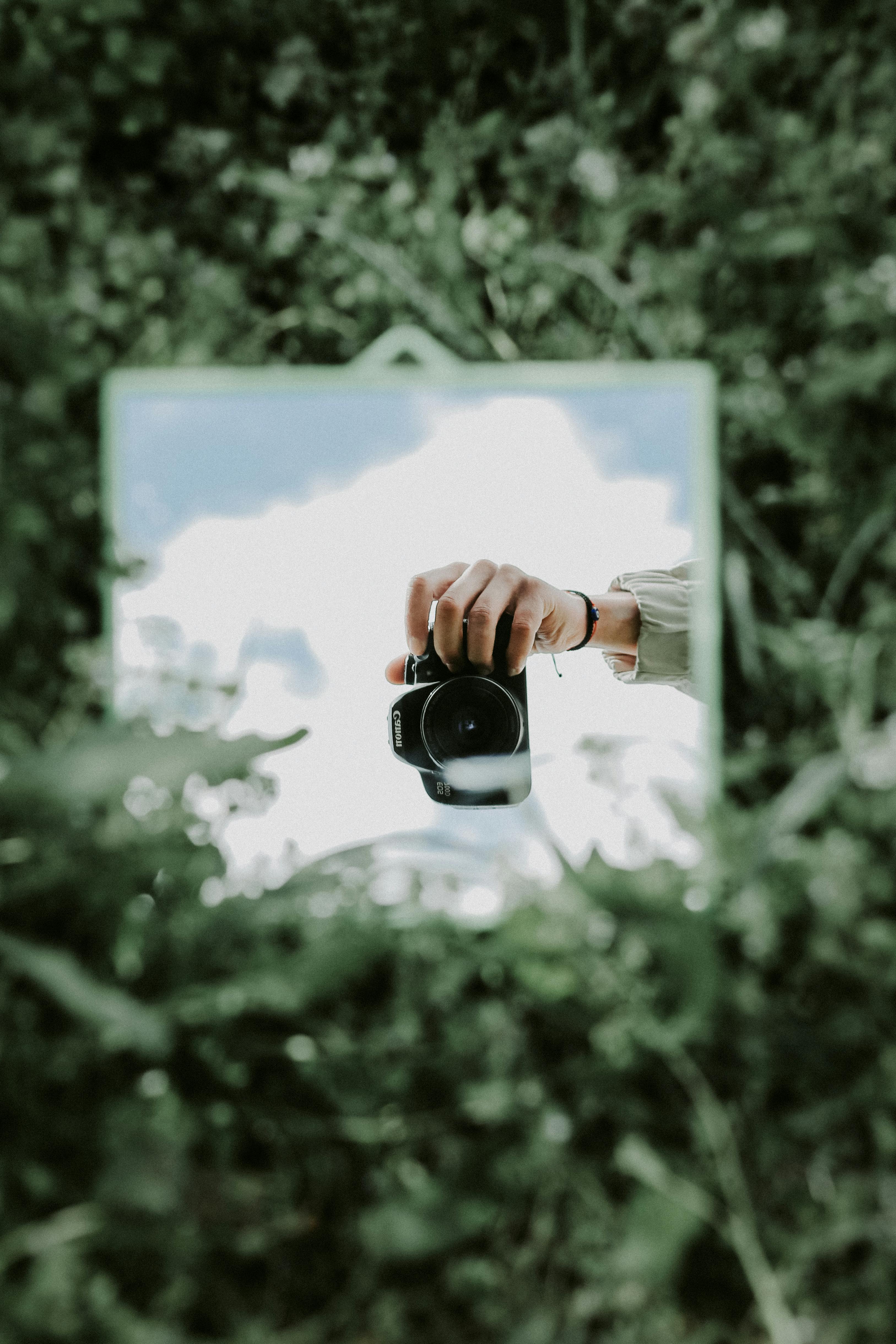 Gratis Foto stok gratis @ luar, alam, alami Foto Stok