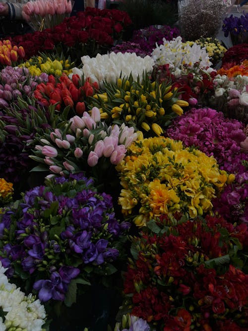 Free A large display of flowers at a market Stock Photo