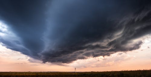 Gratis lagerfoto af aften, appelsin, ar