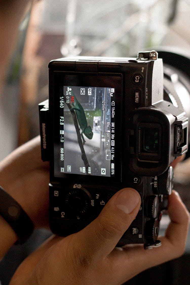 Close-up Of Person Photographing With Professional Camera