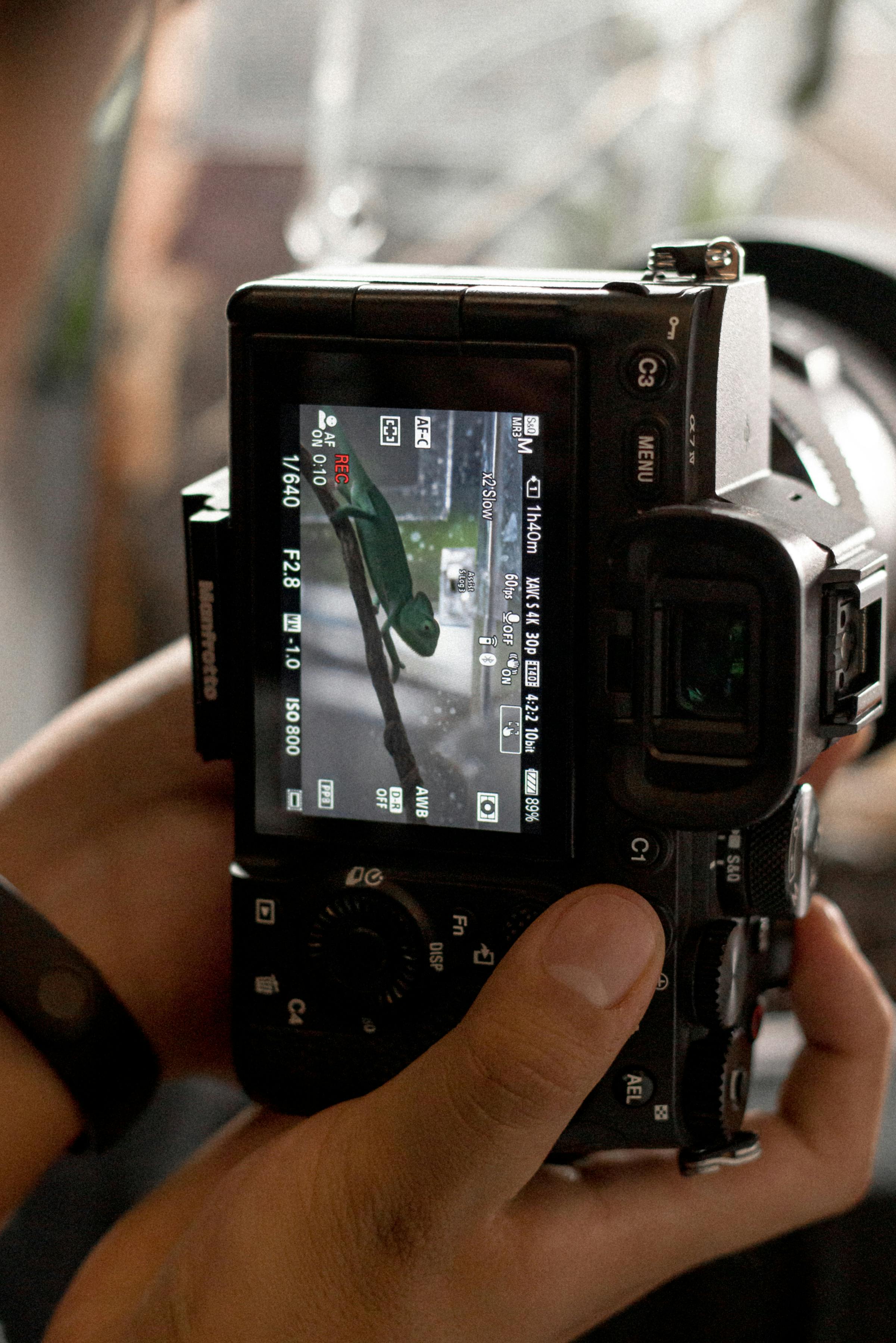 Free Close-up of photographer adjusting settings on a digital camera indoors, focusing through viewfinder. Stock Photo