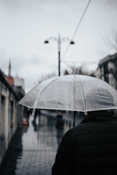 A person holding a transparent umbrella walks on a wet urban sidewalk during an overcast day.