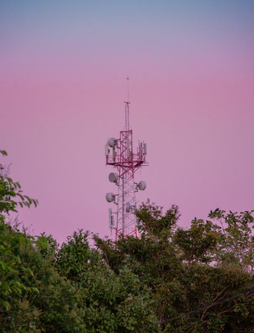 Atardecer Rosa