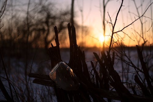 冬季, 围栏, 日出 的 免费素材图片