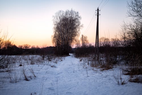 Unpaved Road Through Rural Terrain Covered with Snow