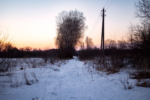 Free A peaceful rural scene with snow-covered path and power lines at sunset. Stock Photo