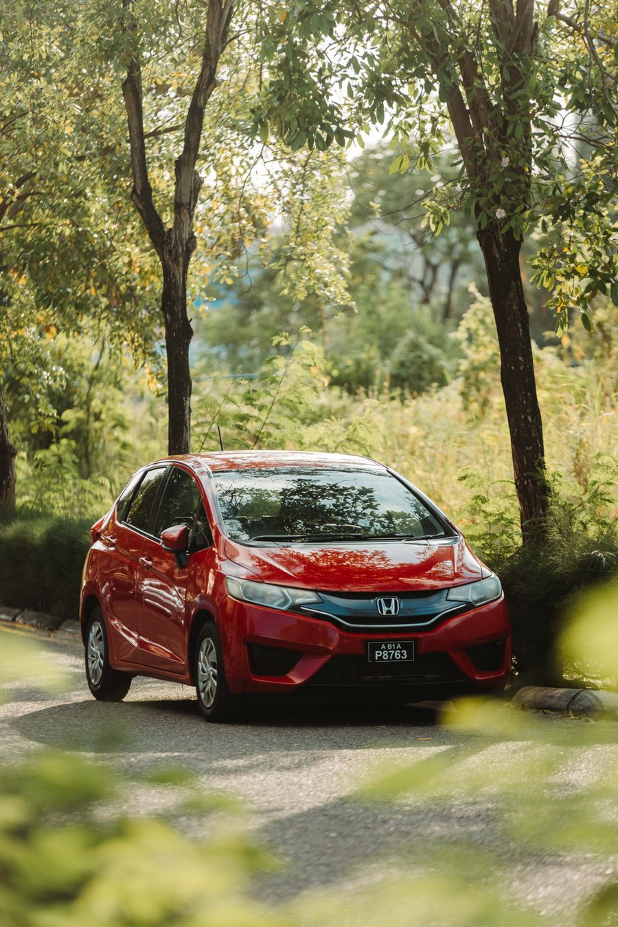 Compact car on a scenic road in summer