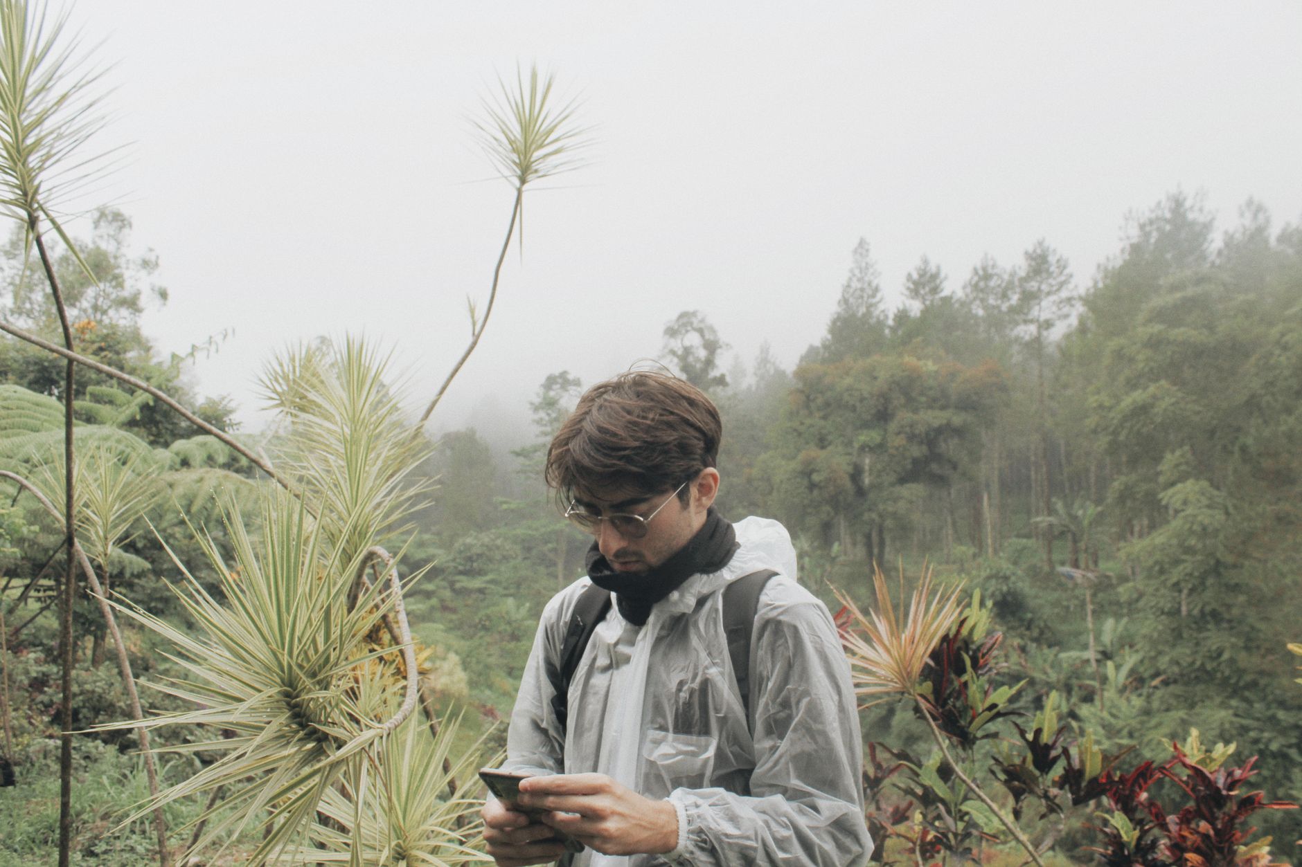 How to Stop Your Phone Screen Fogging Up in Humidity (Practical Tips) A man in a raincoat using a phone in a misty tropical rainforest setting