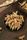 ginseng