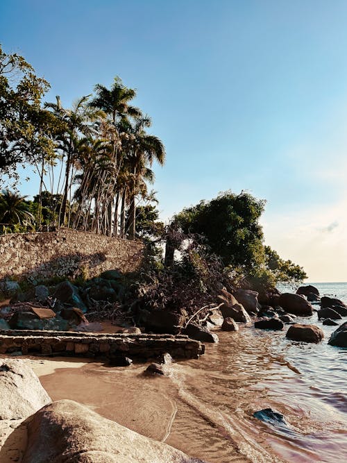A Tropical Beach with Rocks and Palm Trees 