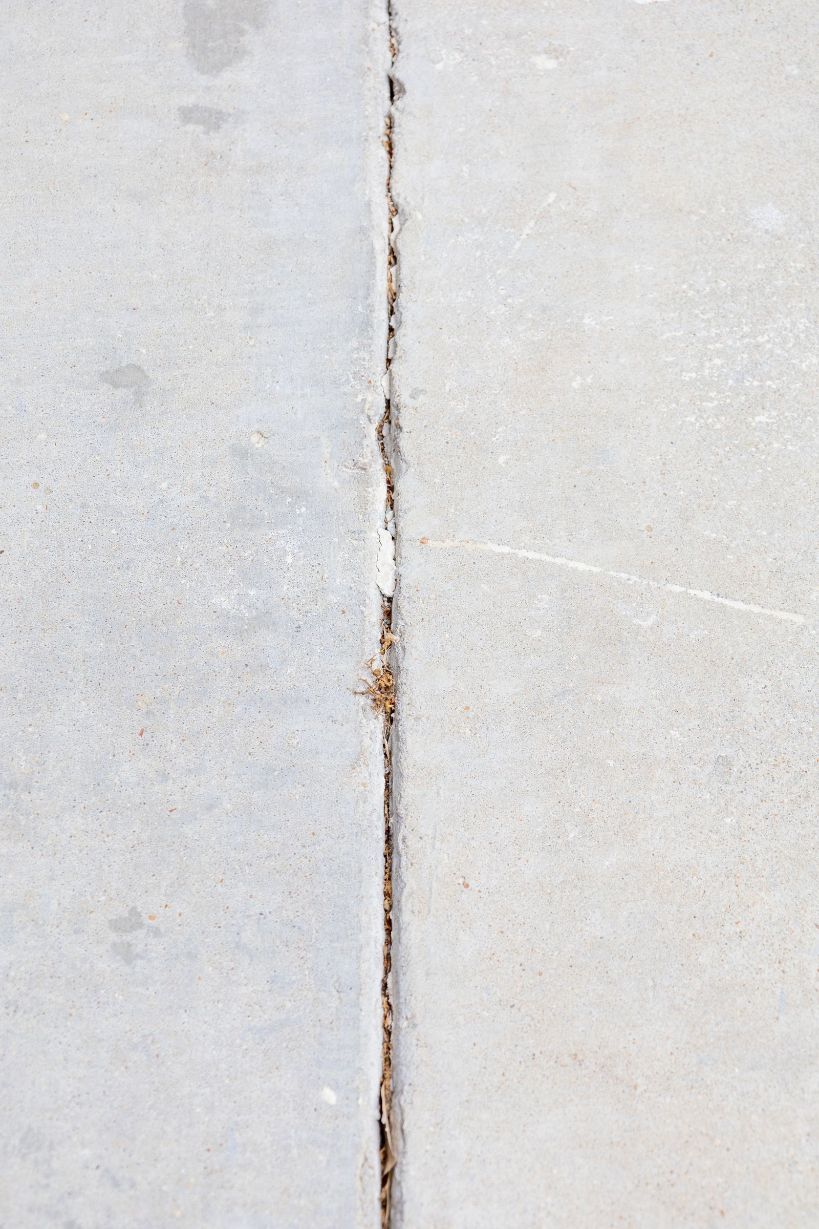 Cracked concrete sidewalk
