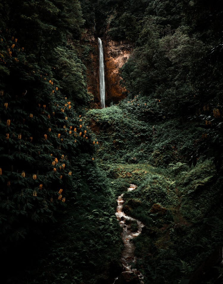 Scenic Landscape With A Waterfall 