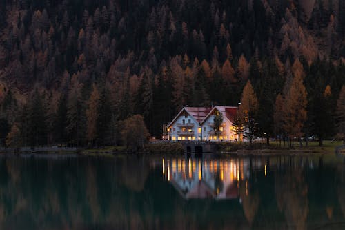 White and Red House Surrounded by Trees at Night