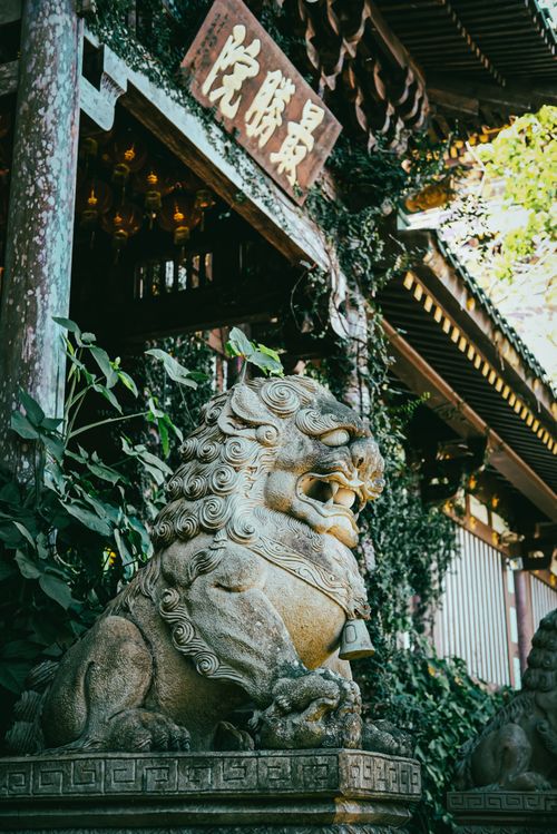 Free Capture of a traditional stone lion statue outside an ancient Chinese architectural building, adorned with foliage. Stock Photo