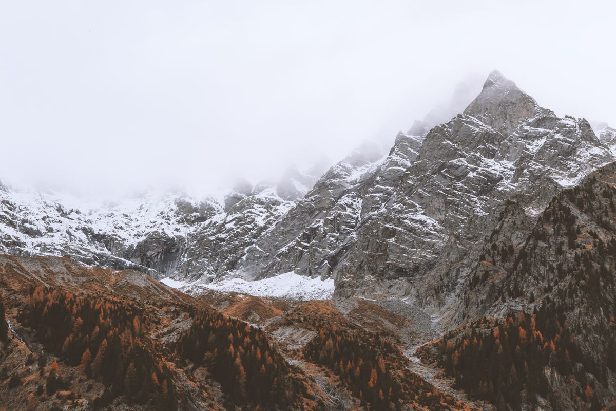 Vincent van Gogh Wall Art -- The Most Beloved Artist in History at Home
