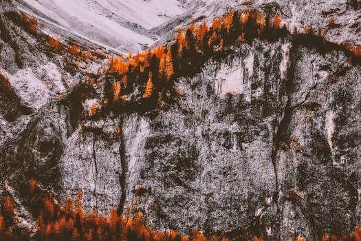 日出时分，从空中俯瞰岩石山腰上充满活力的秋树，景色令人惊叹