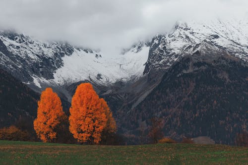 Základová fotografie zdarma na téma cestování, denní světlo, hd tapety