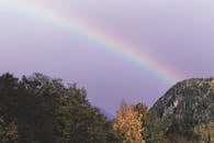 郁郁葱葱的绿色植物上方，一道充满活力的彩虹映衬着令人惊叹的山景