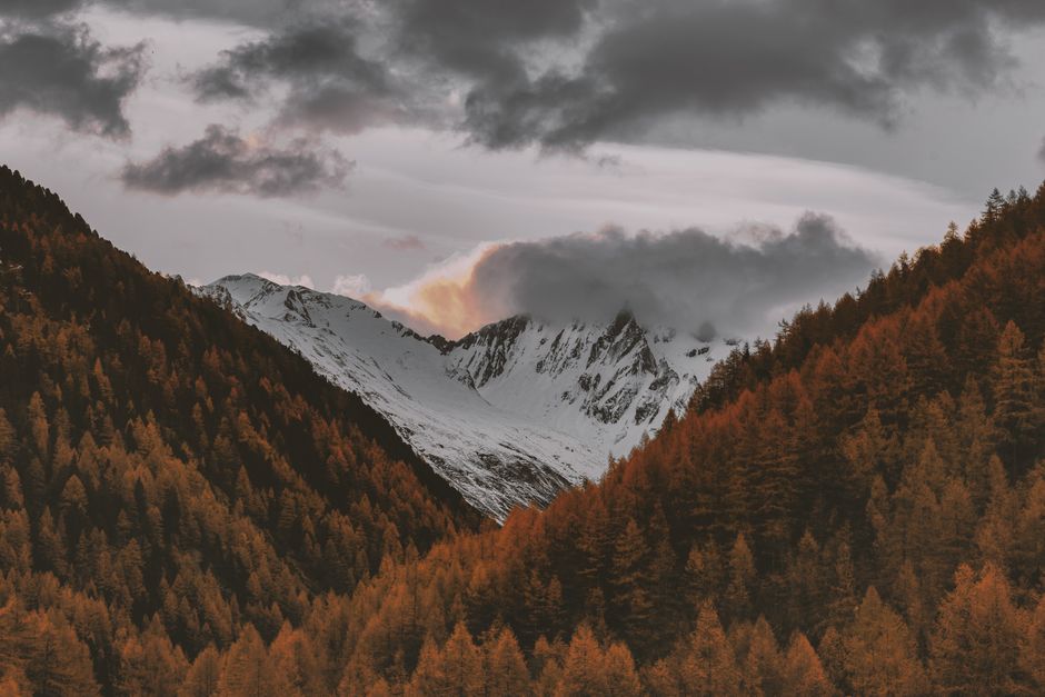 Breathtaking view of snow-capped mountains framed by autumn trees under a dramatic sunset sky.