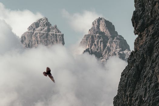 Breathtaking view of the Dolomites with a bird soaring through misty clouds, creating a dramatic natural scene.