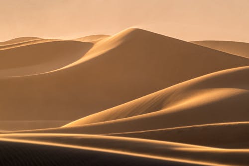 The desert is covered in sand dunes at sunset