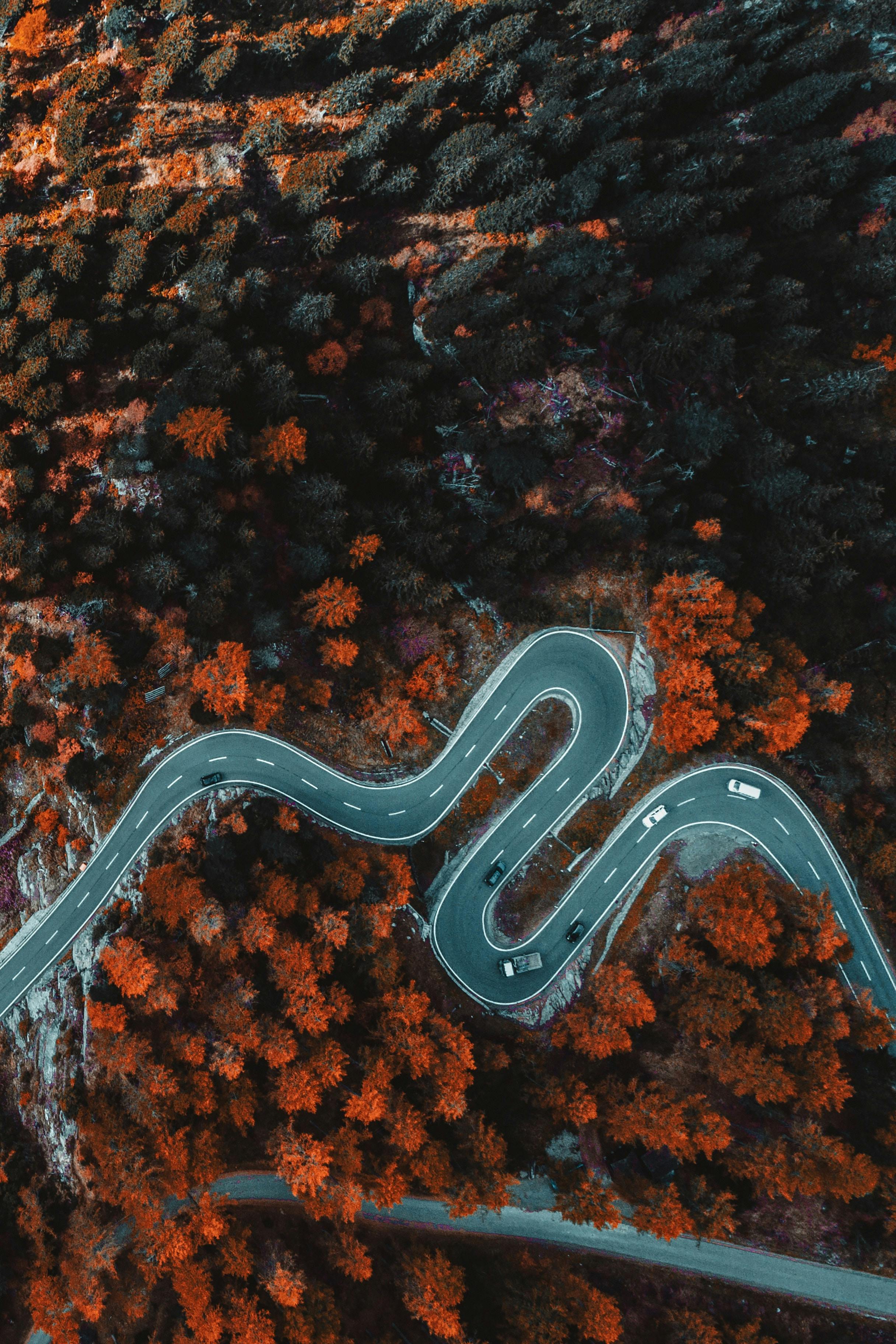 top view of zigzag country road