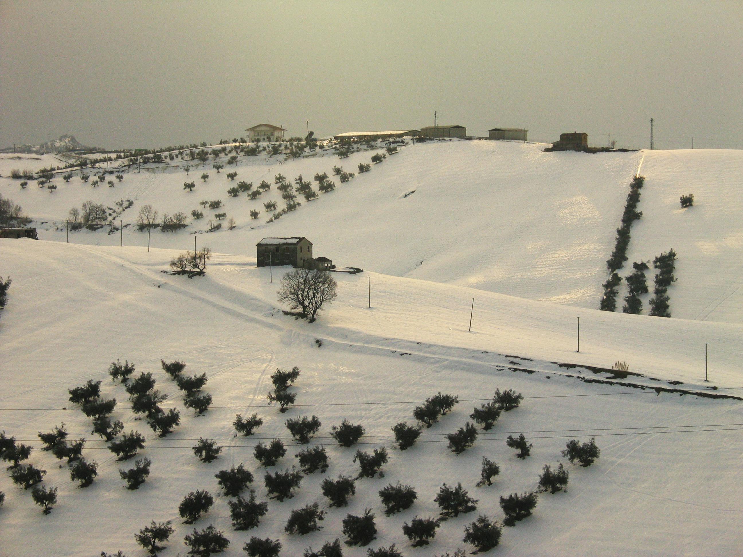 a hill covered in snow with a few trees in the foreground