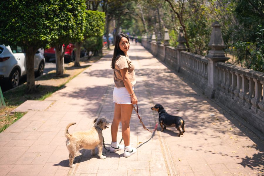 Smiling female pet sitter walking two happy dogs on leashes in a suburban neighborhood
