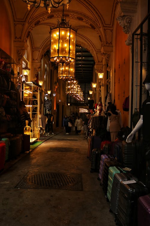 Foto stok gratis bazar, Istanbul, kalkun