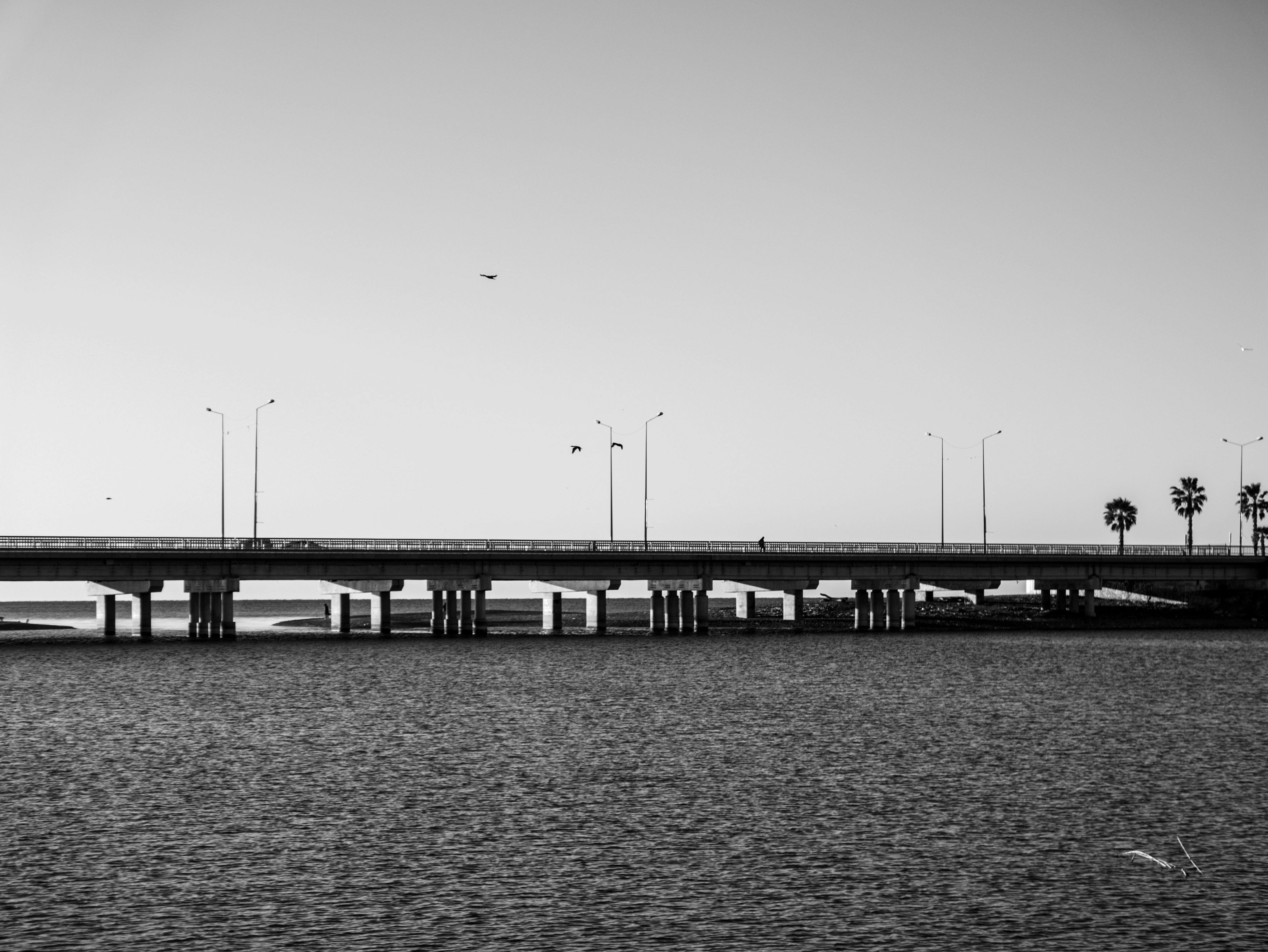 Bridge Over the Sea, Bandra Worli Sea Link, Mumbai, India · Free Stock