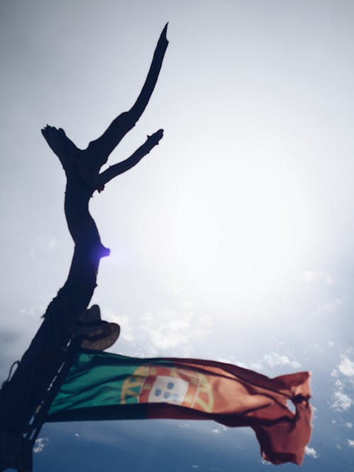 德拉普, 德拉波葡萄牙, 旗 的 免费素材图片