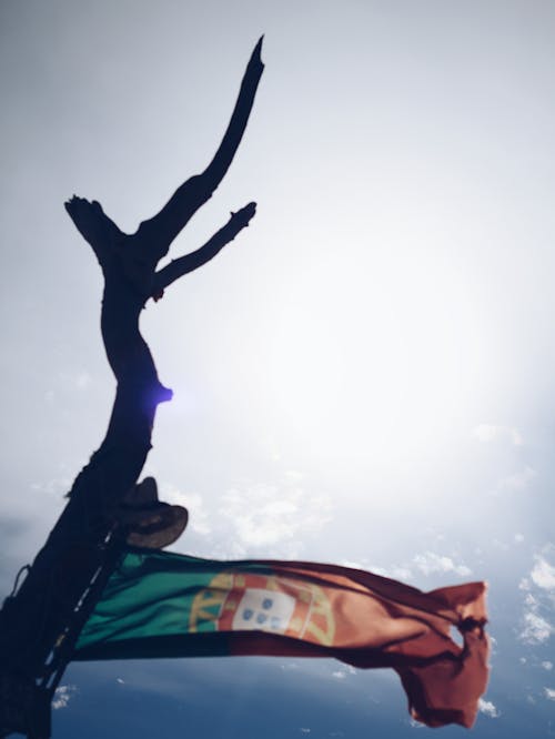 Kostnadsfri bild av drapeau, drapeau portugal, flagga