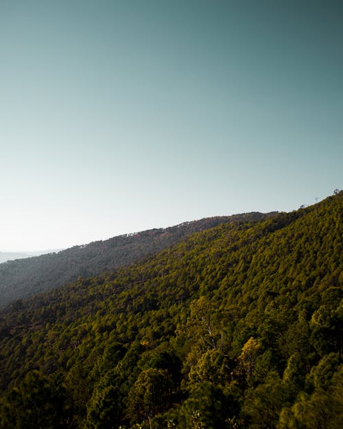 Landscape of Hills Covered in Green Trees under Clear, Blue Sky 