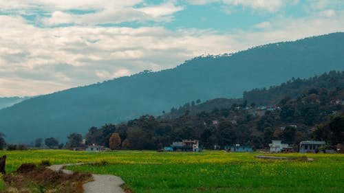 Foto stok gratis bidang, Desa, lansekap