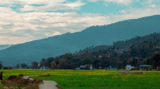 Phulaich Festival — photo