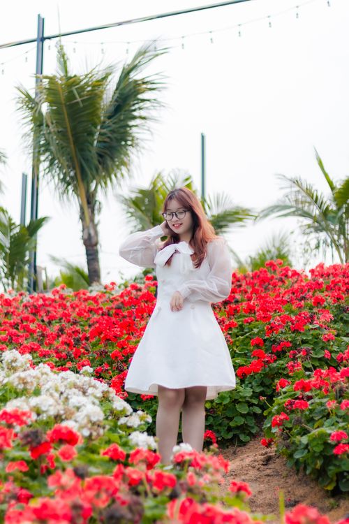 Young Woman Wearing a White Dress Standing in a Garden with Red Flowers   Free Stock Photo