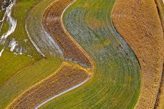 Aerial view of curved farmland in Altura, MN showcasing vibrant seasonal colors and patterns.