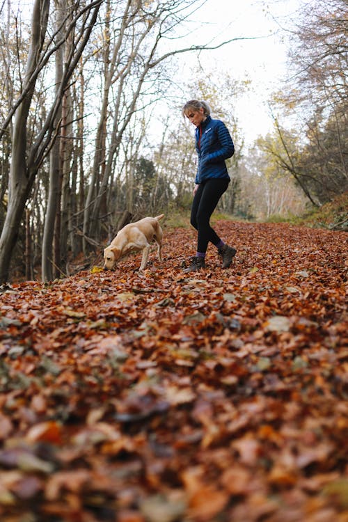 Adult Yellow Labrador Retriever and Woman Walking in Forest Trail