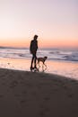 日落时，一个人沿着沙滩遛狗