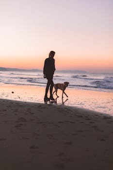 日落时分，一个人沿着沙滩遛狗