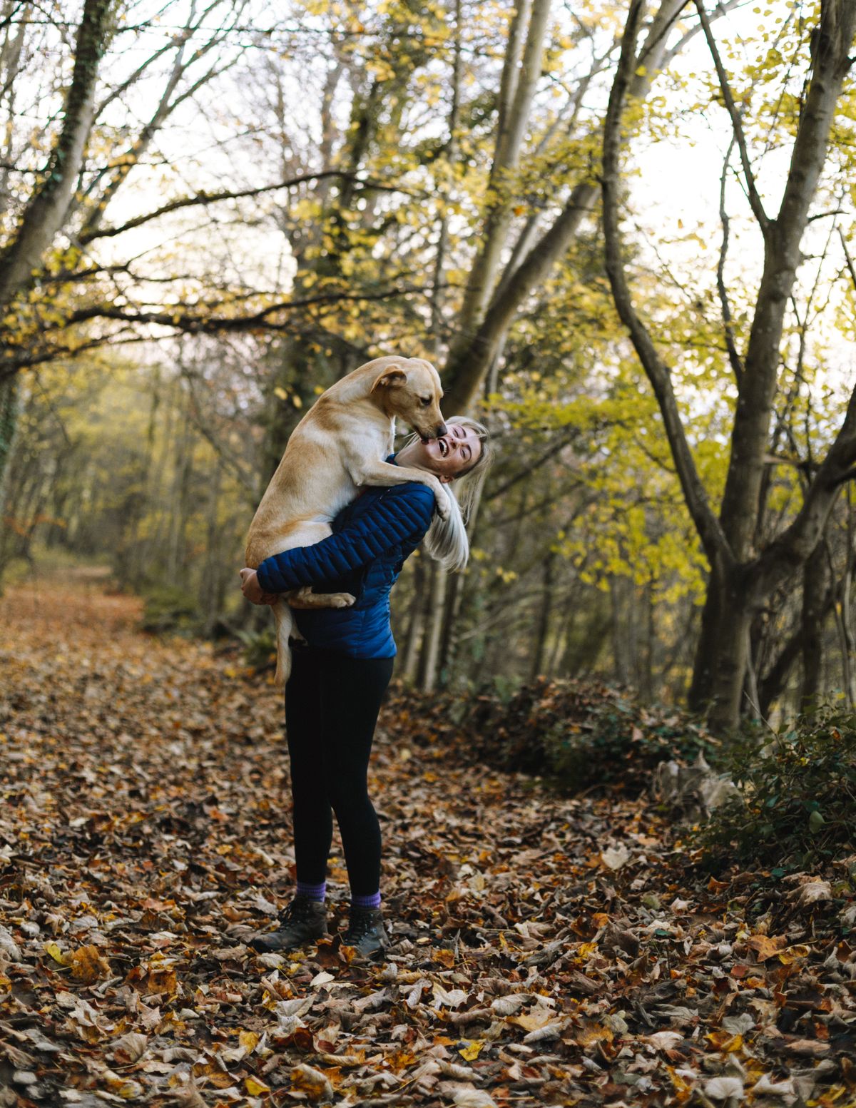Person hugging yellow Labrador on autumn forest trail