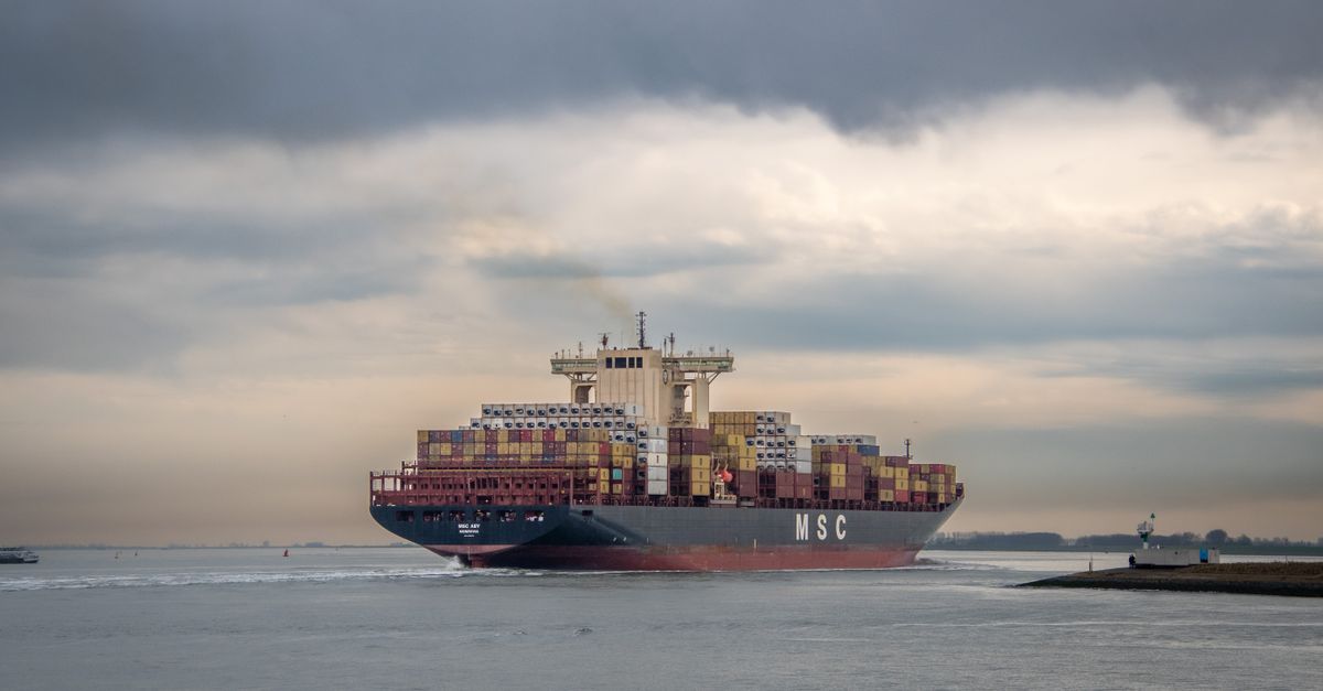 Logistics and international trade cargo