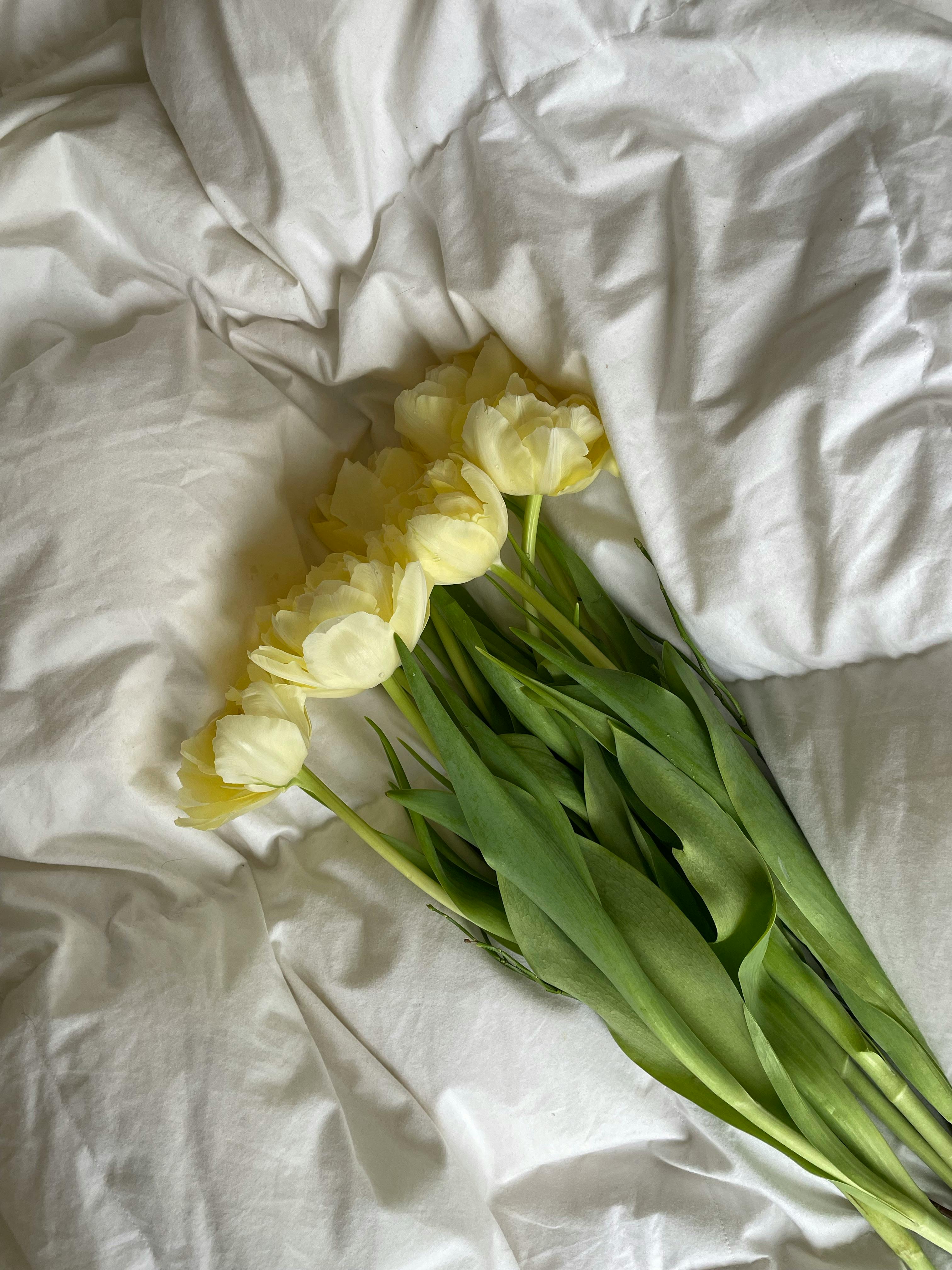 Aesthetic arrangement of yellow tulips resting on crumpled white bed linens, providing a serene and elegant composition.