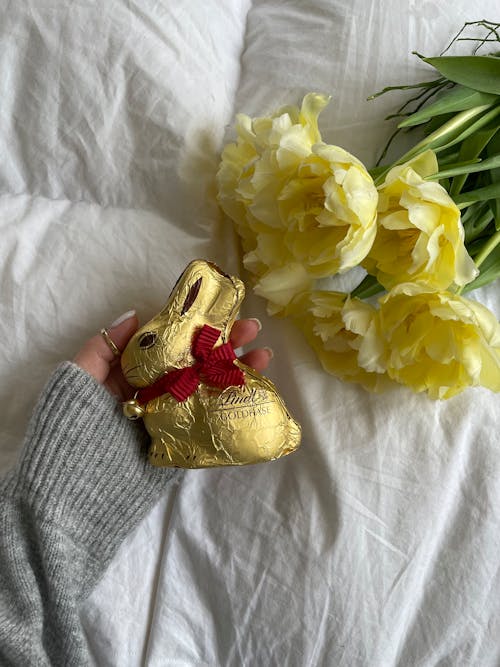 Free A person holding a chocolate bunny on a bed Stock Photo
