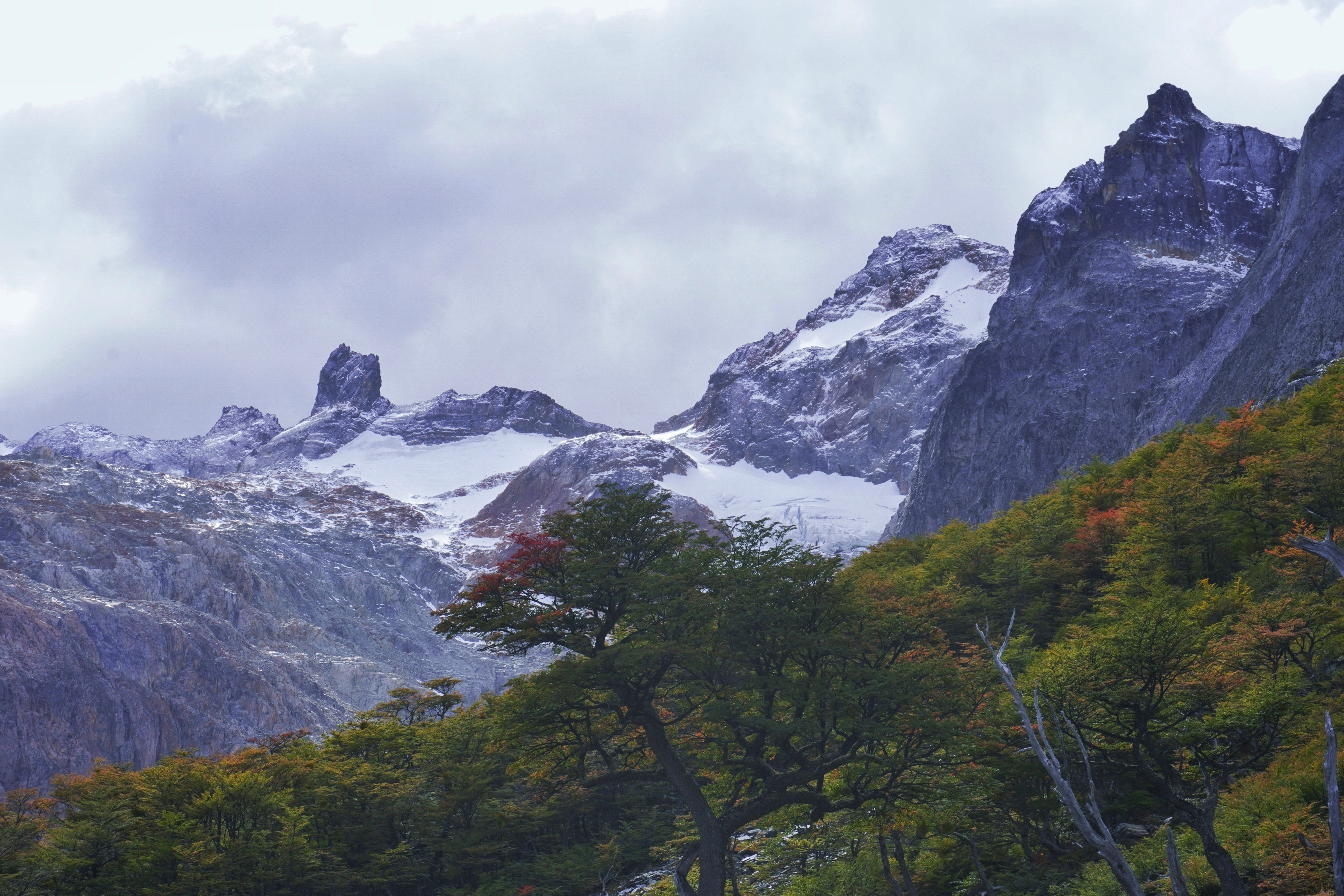 A mountain range with trees and snow capped peaks · Free Stock Photo