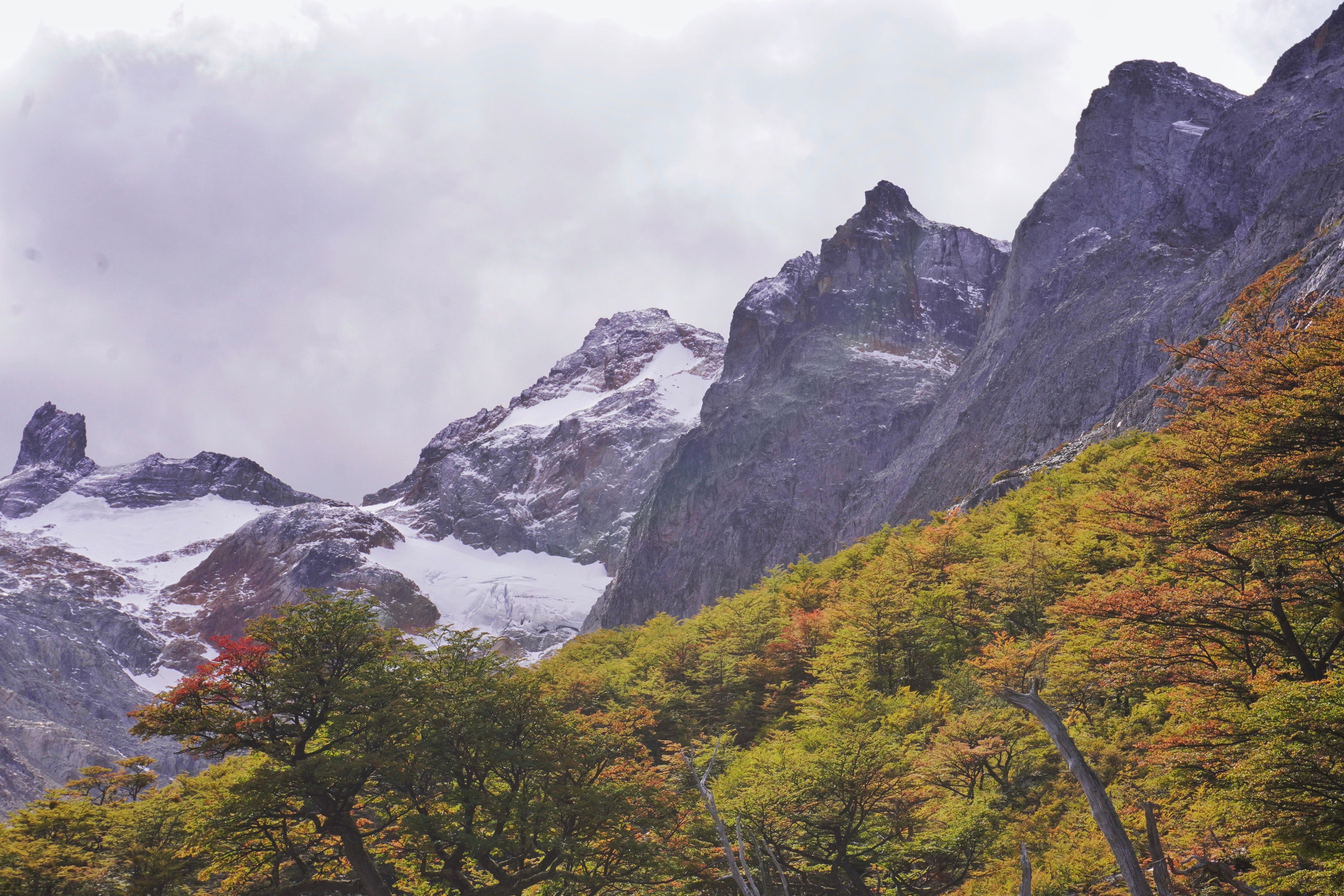 A mountain range with trees and snow capped peaks · Free Stock Photo