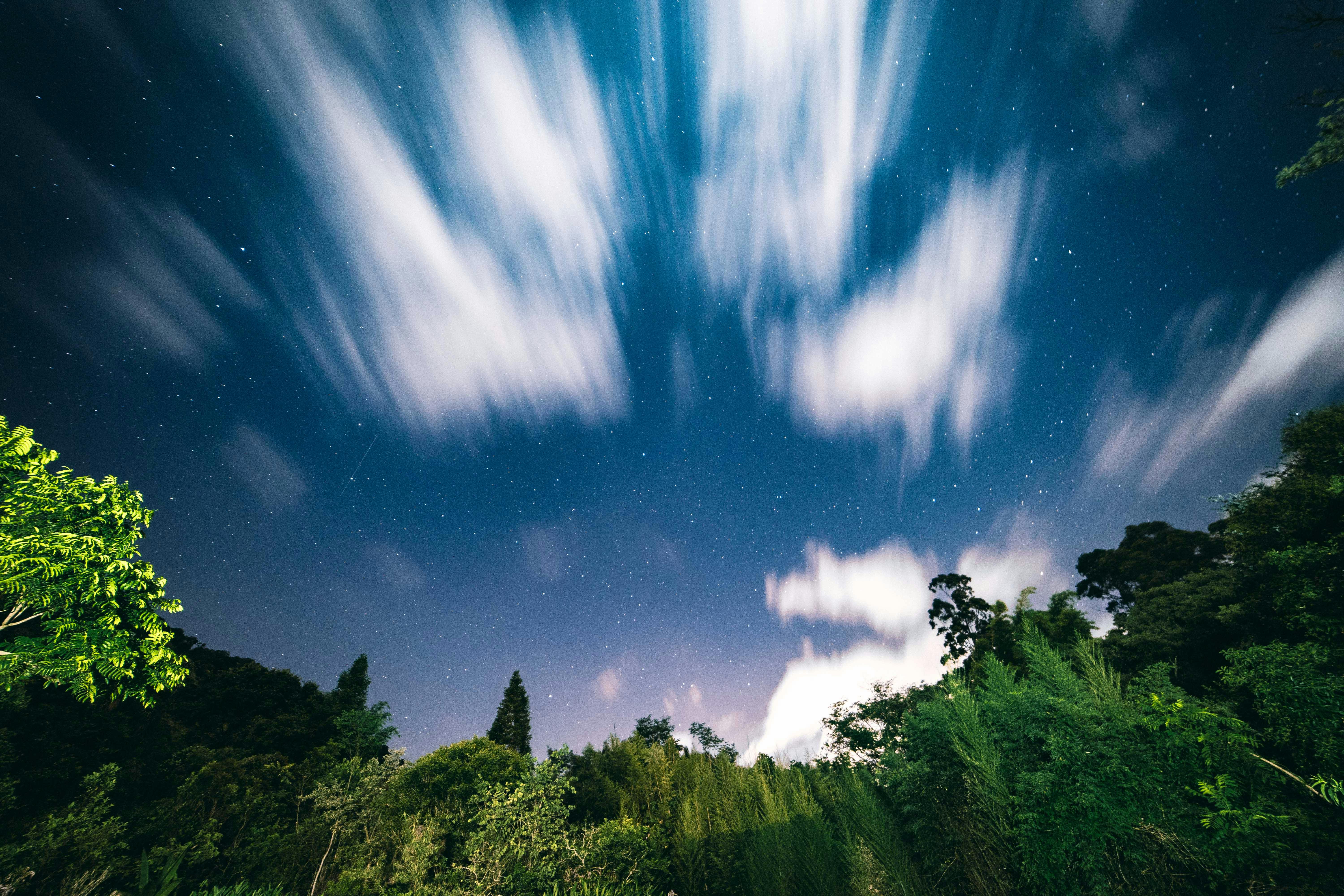 Trees Under Starry Sky · Free Stock Photo