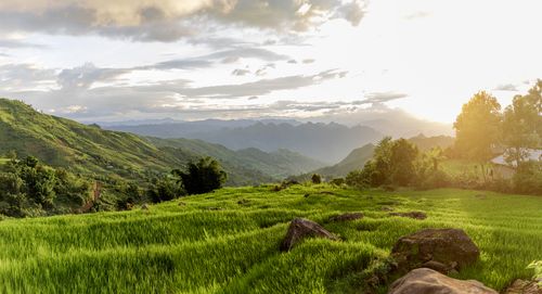 Free Breathtaking sunset over lush green fields and distant mountains, epitomizing natural beauty. Stock Photo